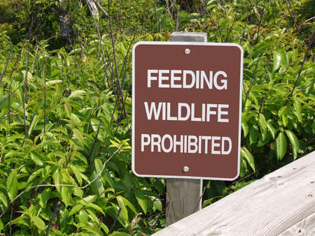 Feeding Wildlife Prohibited Signの写真素材