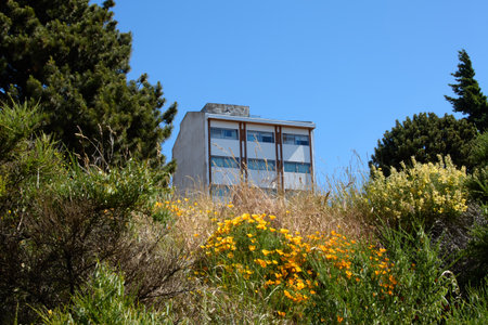 house surrounded by trees and flowers, San Carlos de Bariloche, Argentina, South America.の写真素材