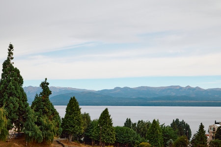 Trees on a steep mountain slope on a windless cloudy day against the backdrop of a lake and mountainsの写真素材
