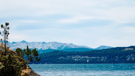 lone tree on a rocky cliff against the backdrop of a lake and mountain peaks on the horizon, Bariloche National Parkの写真素材