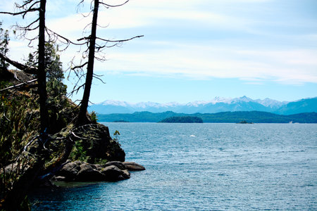 lonely trees on a rocky cliff against the backdrop of a lake and mountain peaks on the horizon, Bariloche National Parkの写真素材
