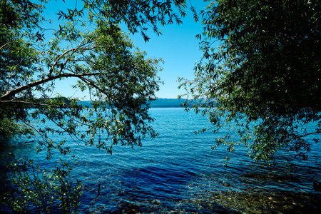 Bright green trees and shrubs bordering a mountain lake. Blue clear sky. Calm water.の写真素材