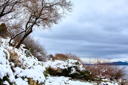 Scenic view of mountain peaks and winter lake, trees on a snowy slope. South America, San Carlos de Bariloche.の写真素材