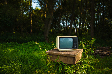 Old analog TV in forestの写真素材