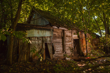 A very old ruined house in forestの写真素材