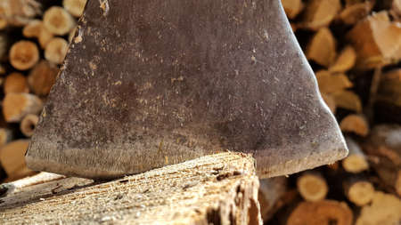 the axe stumps in the background on the heap of firewoodの写真素材