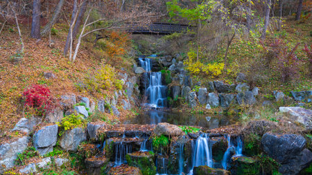 waterfall in woods in the garden, fall, autumn, 2021の写真素材