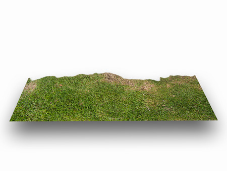 Green grass carpet on the white isolated background.の写真素材
