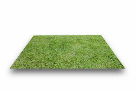 The grass isolated on white background.の写真素材