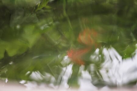 The surface movement caused by water drops hitting the water.