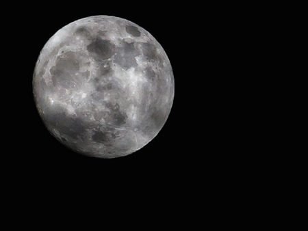 The night of the full moon in the sky as a background.