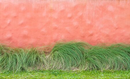 Cement walls and the grass as background.の写真素材