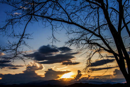 Sky at sunset and silhouette of trees in the background.の写真素材
