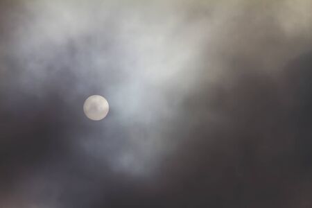 The rising sun in the mist of winter as the background.