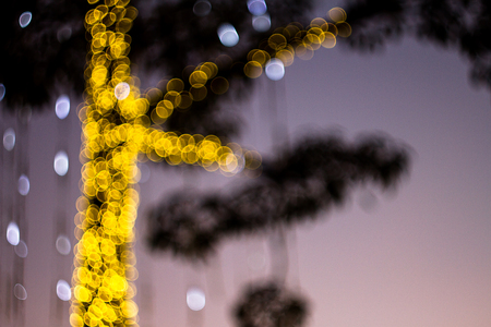 Bokeh can be made by focus lens blur, which is the background.の写真素材