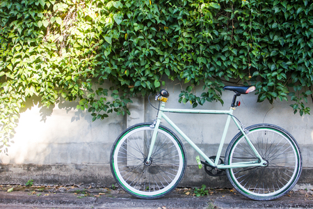 Cycling and leave on the wall which as the background.の写真素材