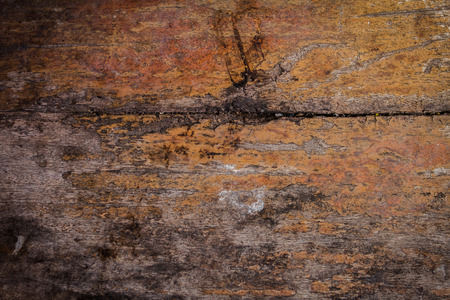 The grunge of wood is very old as the background.の写真素材