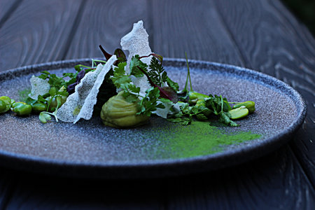 avocado, ricechips, herbs, fava beansの写真素材