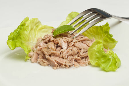 Canned tuna chunks with green salad and forkの写真素材