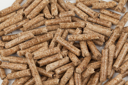 Wood pellets are a type of wood fuel, generally made from compacted sawdust.