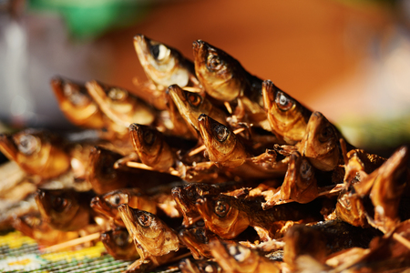 dried fish, abstract food backgroundの写真素材