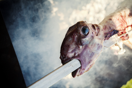 lamb roasting on a spit, close upの写真素材