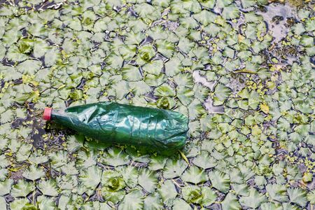 environmental pollution, plastic bottles in the lake grassの写真素材