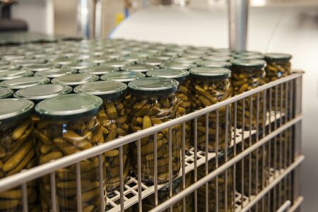 factory production of pickles in jarsの写真素材