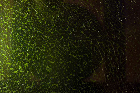 cracked green glass texture, close up