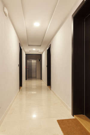 hallway in a modern residential building with doorの写真素材