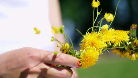 summer, close up, Female hands with bright red manicure. woman weaves a wreath of yellow dandelions,. High quality photoの写真素材