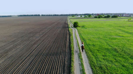 Spring. On Sunset .Woman galloping on a brown horse through a field in countryside. young woman riding bay horse. birds-eye, aerial filming. High quality photoの写真素材