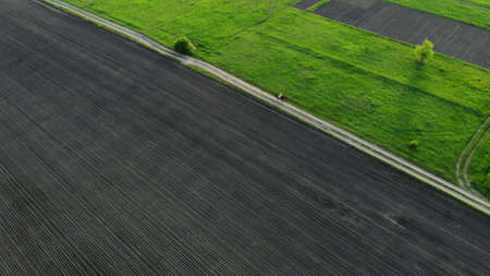 Spring. On Sunset .Woman galloping on a brown horse through a field in countryside. young woman riding bay horse. birds-eye, aerial filming. High quality photoの写真素材