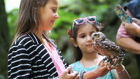 domestic owl. girl holding on hand and strokes a small motley owl. close-up. in the forest, park for a walk, summer day. High quality photoの写真素材