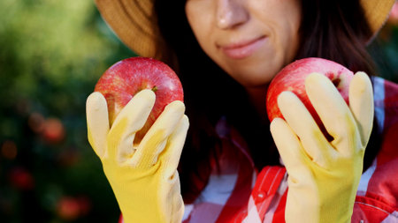 close-up, portrait of a woman farmer wearing a hat and gloves, holding in hands two big red apples. picking apples on farm, in garden. on sunny autumn day. High quality photoの写真素材