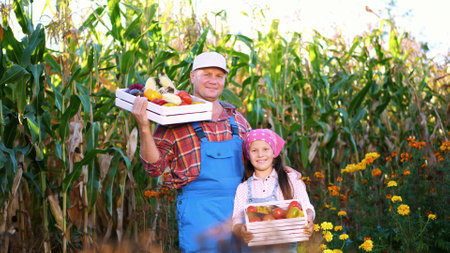 portrait of smiling farmers family , dad and daughter holding wooden boxes with different fresh vegetables, harvest on farm, sunny summer day. background of cornfield,. High quality photoの写真素材