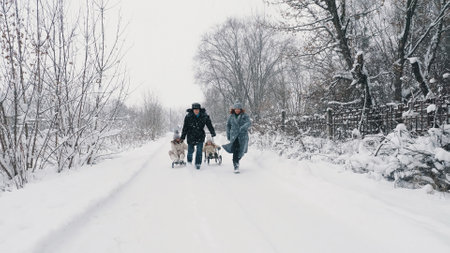 family sledding in winter. outdoor winter activity. Happy, laughing, playful family of 4 is enjoying of sledging their children on snowy road, in forest, during snowfall. family is having fun, spending time together on snowy winter day. slow motion. High quality photoの写真素材