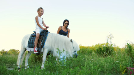 A woman and a boy are walking around the field, son is riding a pony, mother is holding a pony for a bridle. Cheerful, happy family vacation. Outdoors, in summer, near the forest. High quality photoの写真素材