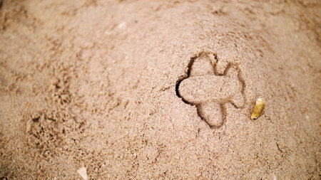 on the sand, you can see the silhouette of the airplane, the imprint of a childrens sandbox for playing with sand. concept of travel. High quality photoの写真素材