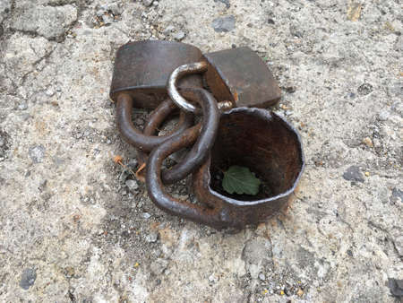 Two old rusty padlocks lockedの素材