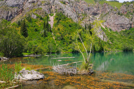 Colorful Sary-Chelek Lake with mountains, meadows, sky and cloudsの写真素材