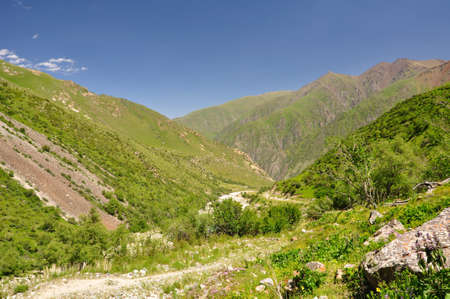 Mountains, stones, green bush, trees and a grassの写真素材