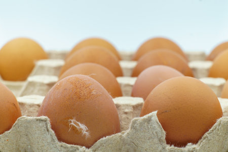 Brown eggs in a cardboard carton made from recycled materials. Some eggs show small dirt spots and...