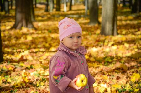 Little lovely girl holding an apple with bright autumn park on a backgroundの写真素材