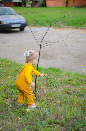Photo of a blue-eyed toddler girl playing outside on the playgroundの写真素材