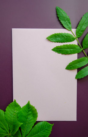 Flatlay vertically light pink card with a mockup on a dark purple background , Flat lay in the...