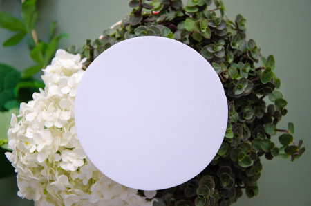 White round template podium mockup for natural organic cosmetic product presentation ad concept on green eco forest fresh leaves hydrangea flowers background trendy stylish minimalの写真素材