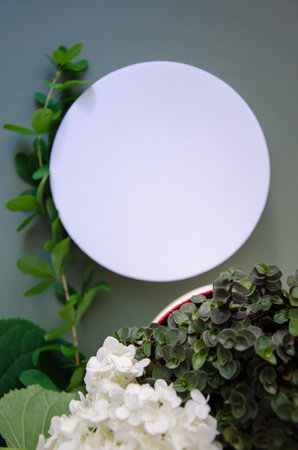 White round template podium mockup for natural organic cosmetic product presentation ad concept on green eco forest fresh leaves hydrangea flowers background, trendy stylish minimaの写真素材