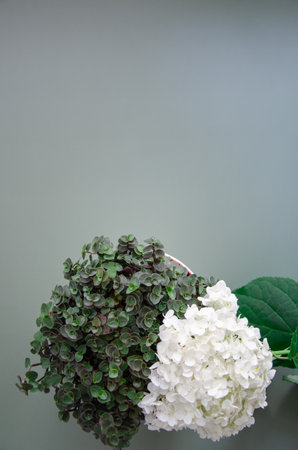 Vertical oriented mockup for natural organic cosmetic product presentation ad concept on green eco forest fresh leaves hydrangea flowers background, trendy stylish minimalismの写真素材