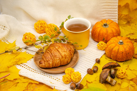Autumn still life in yellow-orange tones: a white knitted plaid and leaves, a yellow mug and a croissant on a wooden plate surrounded by pumpkins, mushrooms, nuts and balls of yarnの写真素材